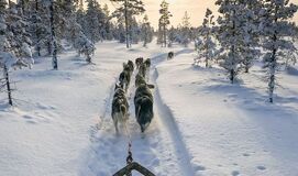 Kuzey Işıkları LAPLAND TURU (3 Gece Konaklamalı)