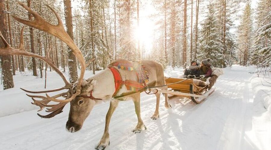 Kuzey Işıkları LAPLAND TURU (3 Gece Konaklamalı)